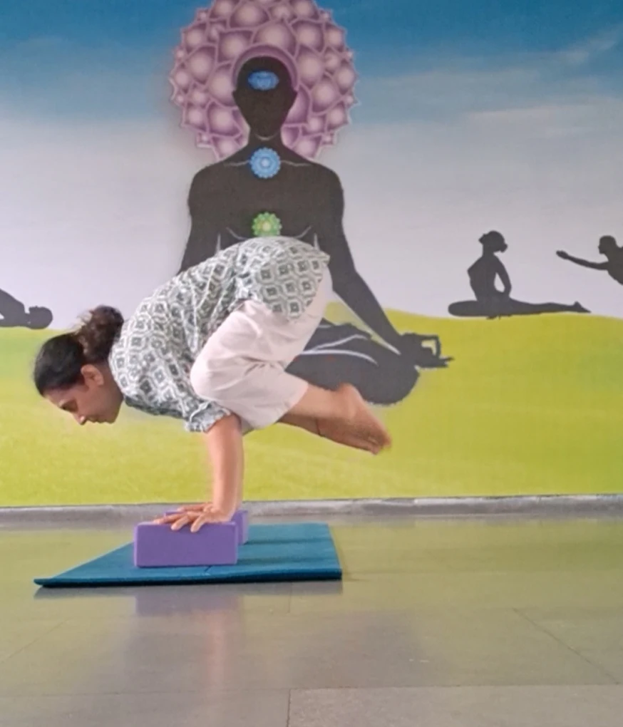 Personalized Yoga Sessions for Wellness and Relaxation