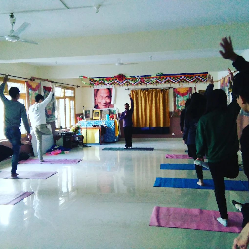 Yoga and Reiki Healing for Holistic Wellbeing