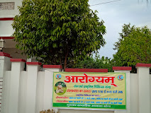 Yoga and Naturopathy for Holistic Health and Wellness
