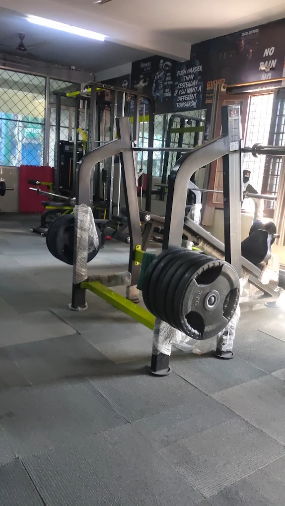 Modern Fitness Training for Strength and Performance