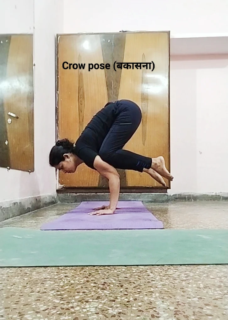 Yoga and Fitness Training for Complete Body Wellness