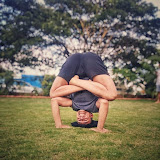 Holistic Wellness Programs for Mind and Body Balance