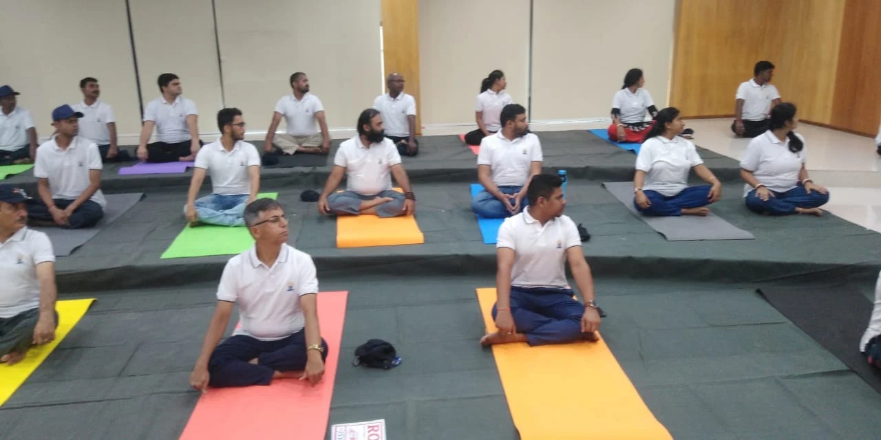 Personalized Yoga Sessions for Everyday Wellness