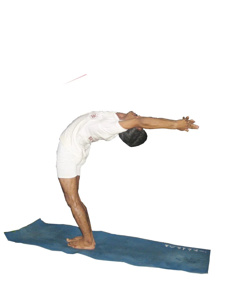 Traditional Yoga Training for Holistic Wellbeing