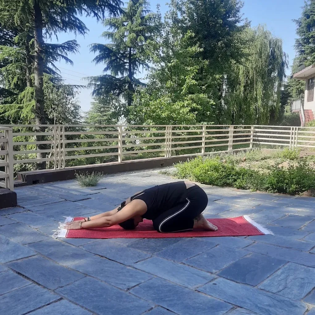 Yoga Programs for Strength and Inner Harmony
