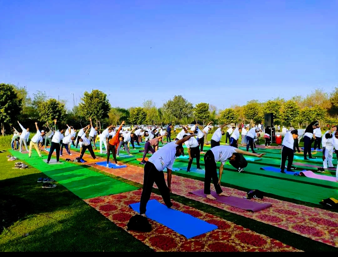 Holistic Yoga Practice for Mind Body Harmony