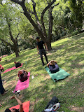 Modern Yoga Practice for Complete Wellbeing
