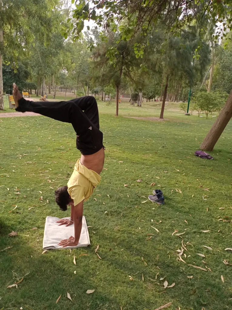 Yoga Therapy for Recovery and Holistic Health