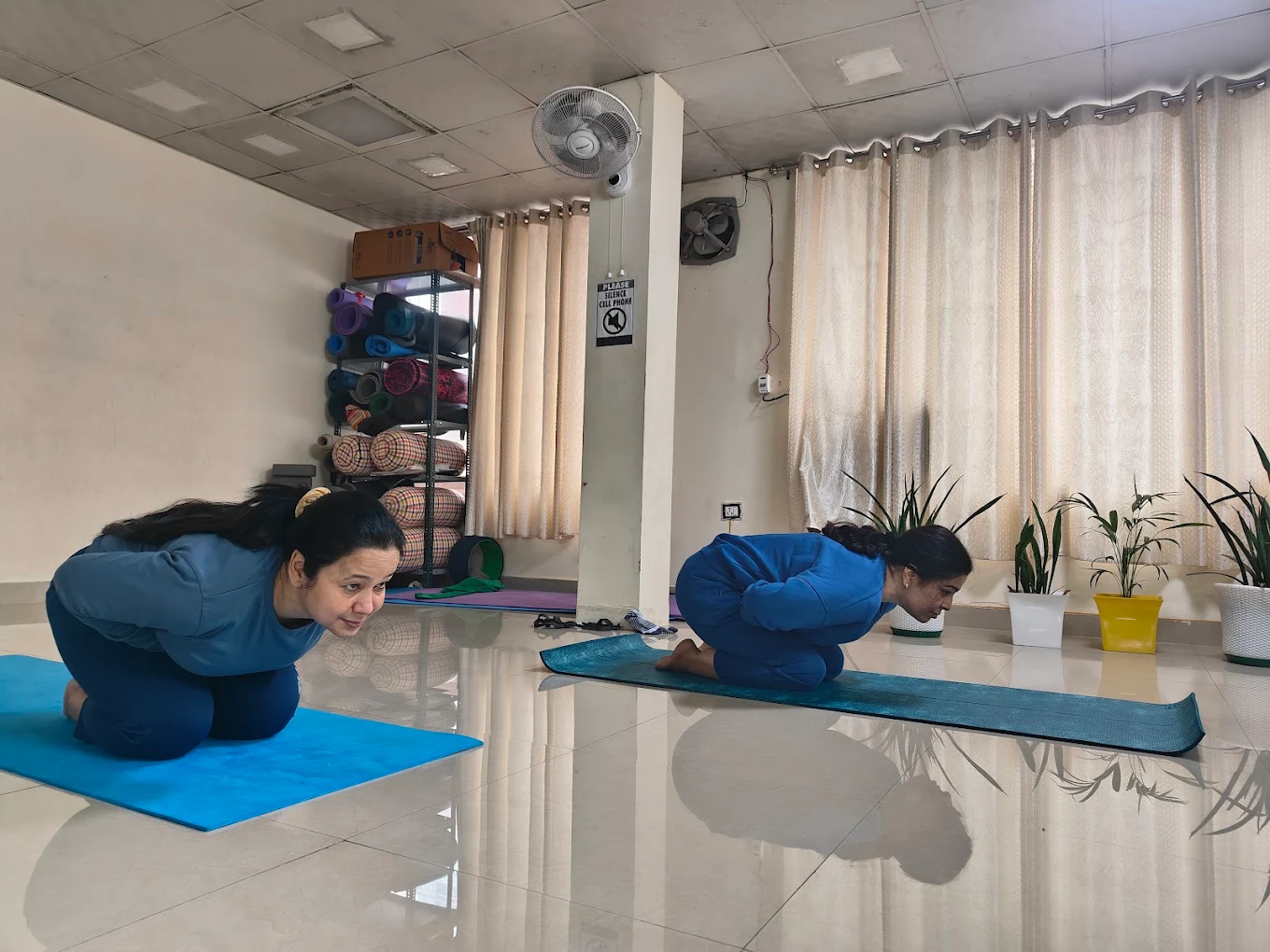 Personal Yoga Sessions for Healthy Lifestyle
