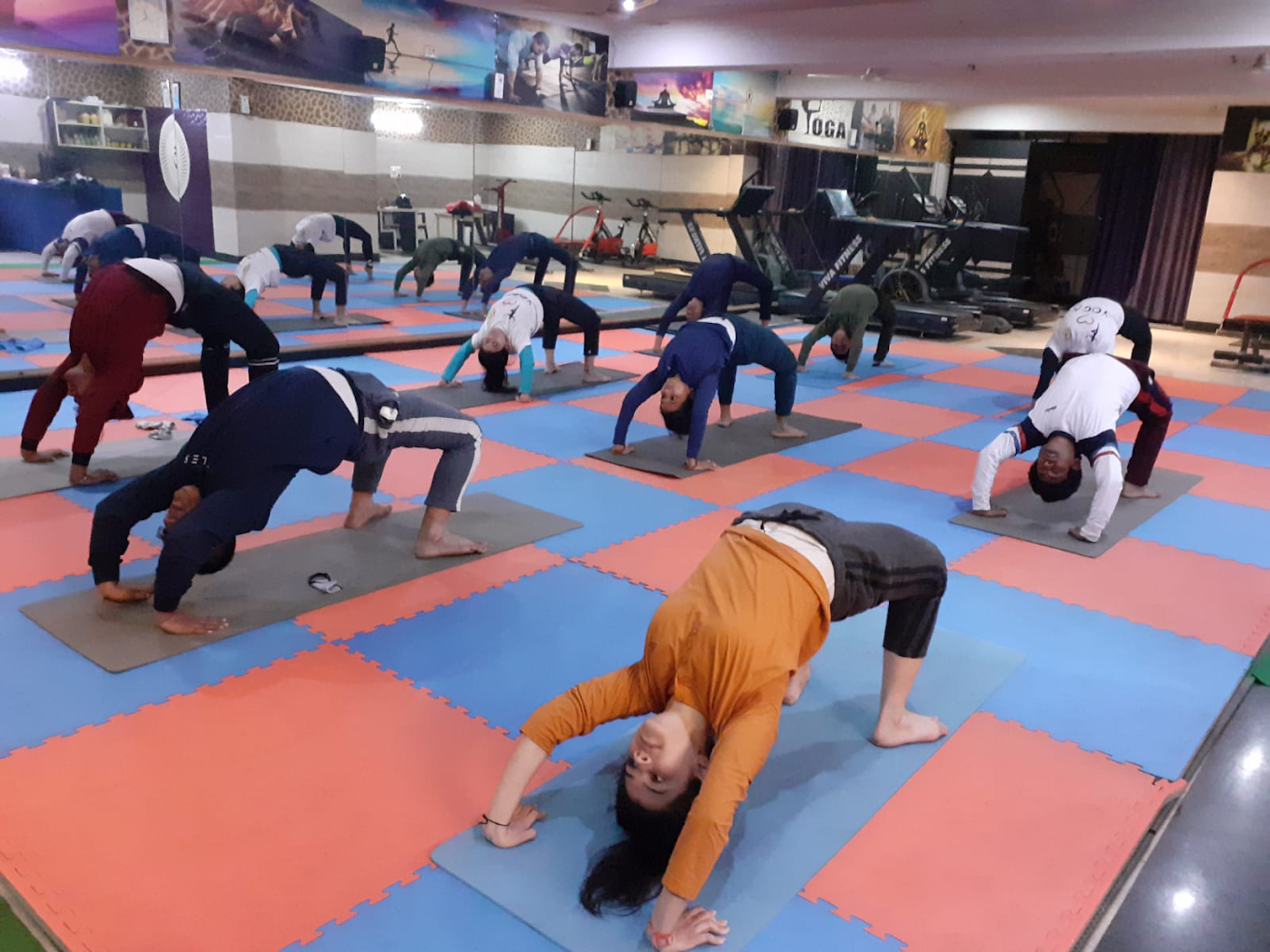 Yoga Practice for Healthy Body and Calm Mind