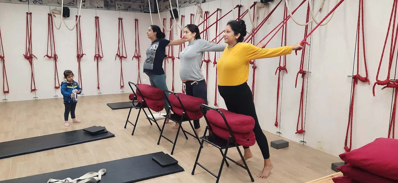 Iyengar Yoga Practice for Alignment and Stability