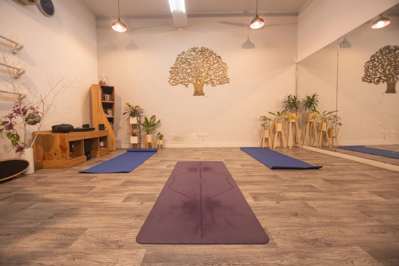 Holistic Wellness and Yoga Learning for Healthy Living