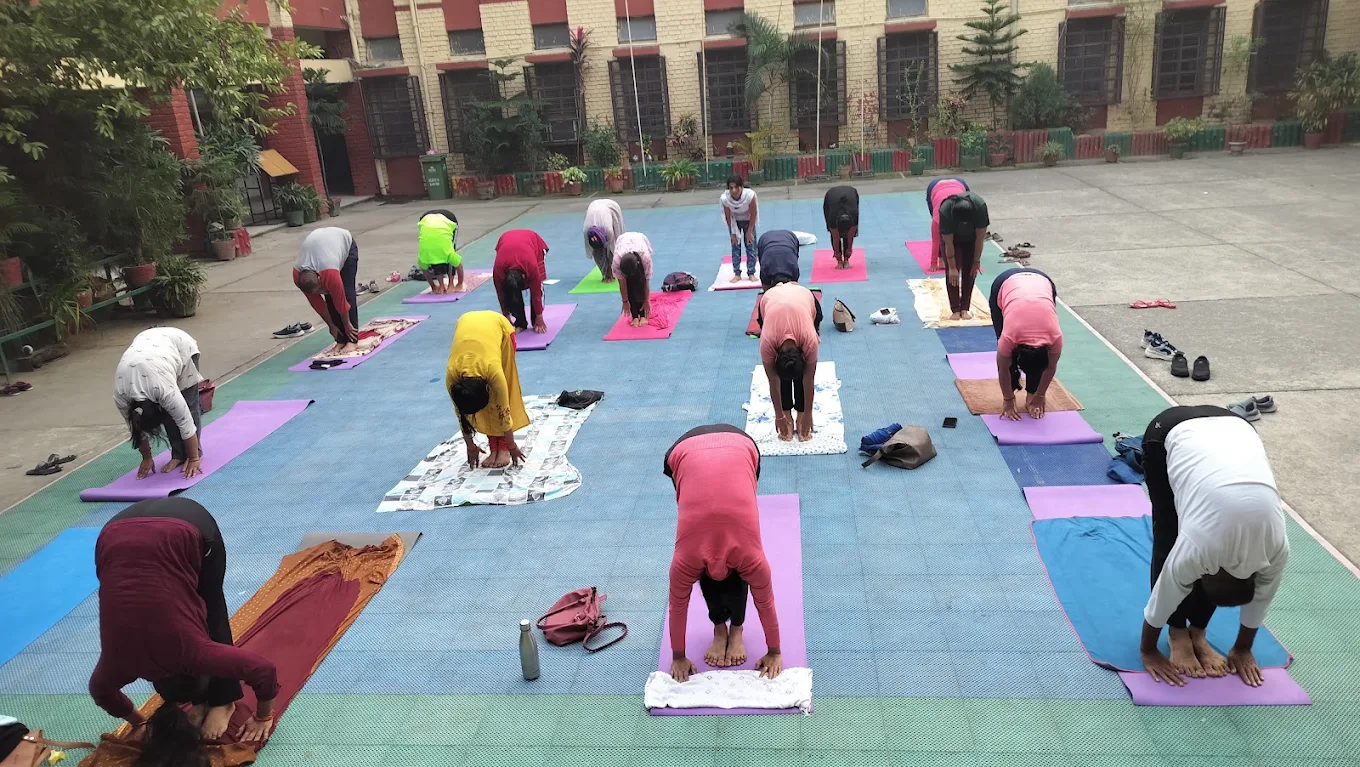 Yoga and Fitness Programs for Strength and Healthy Living