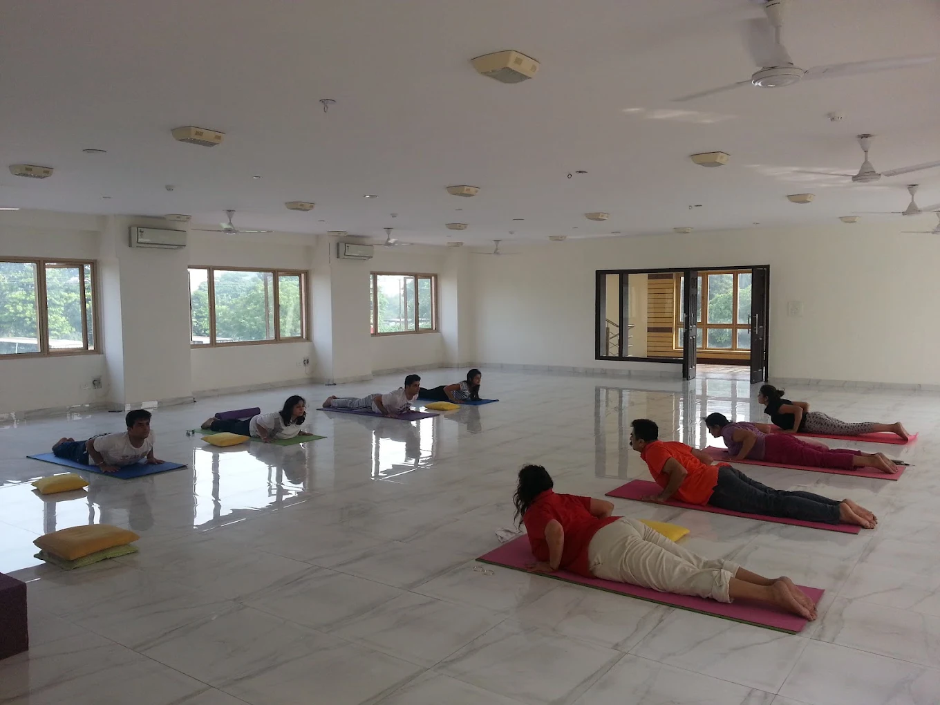 Traditional Sivananda Yoga for Holistic Living