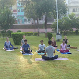 Peaceful Yoga Sessions for Complete Wellness