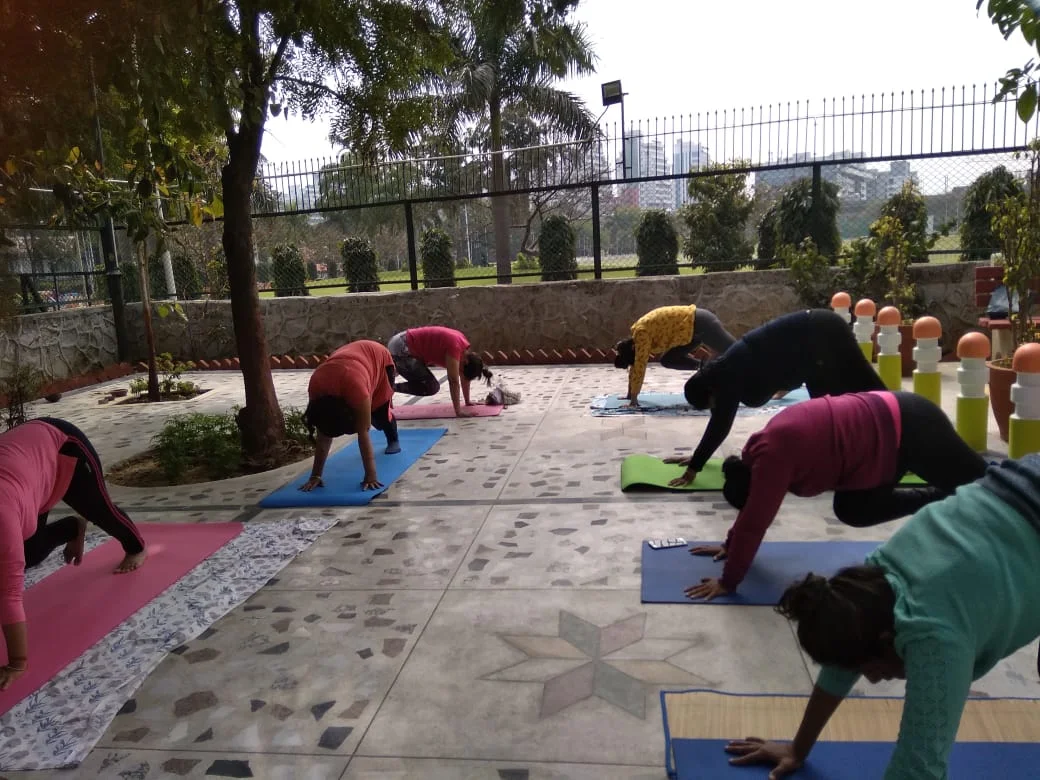 Holistic Wellness for Inner Peace and Balance