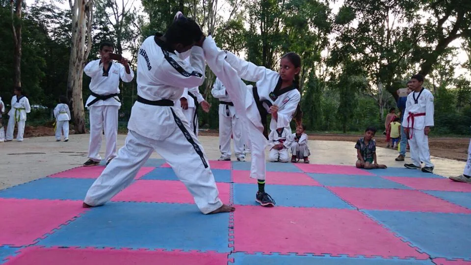 Martial Arts and Movement Training for Wellness