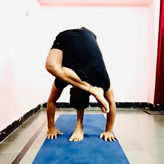 Holistic Yoga for a Balanced Lifestyle