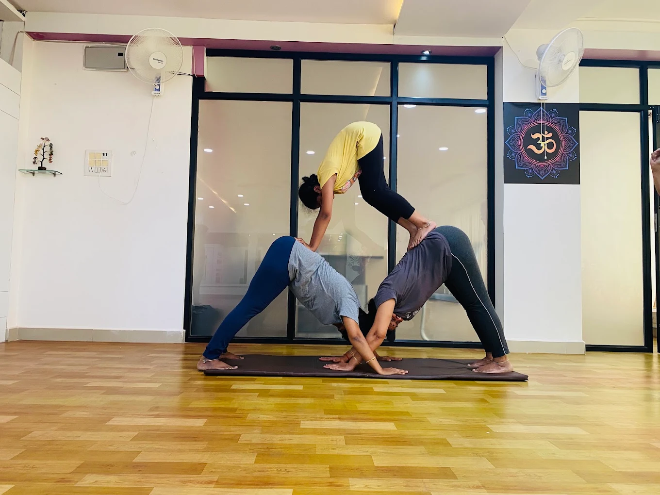 Yoga and Fitness for Strength and Flexibility