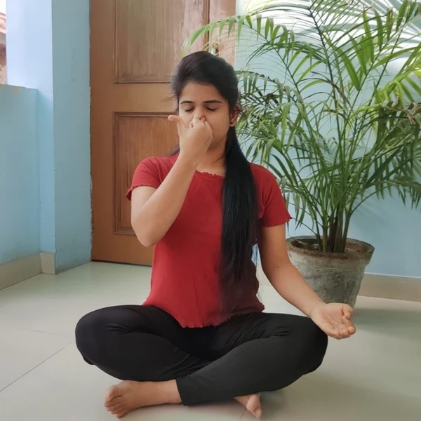 Home Yoga Sessions for Everyday Fitness