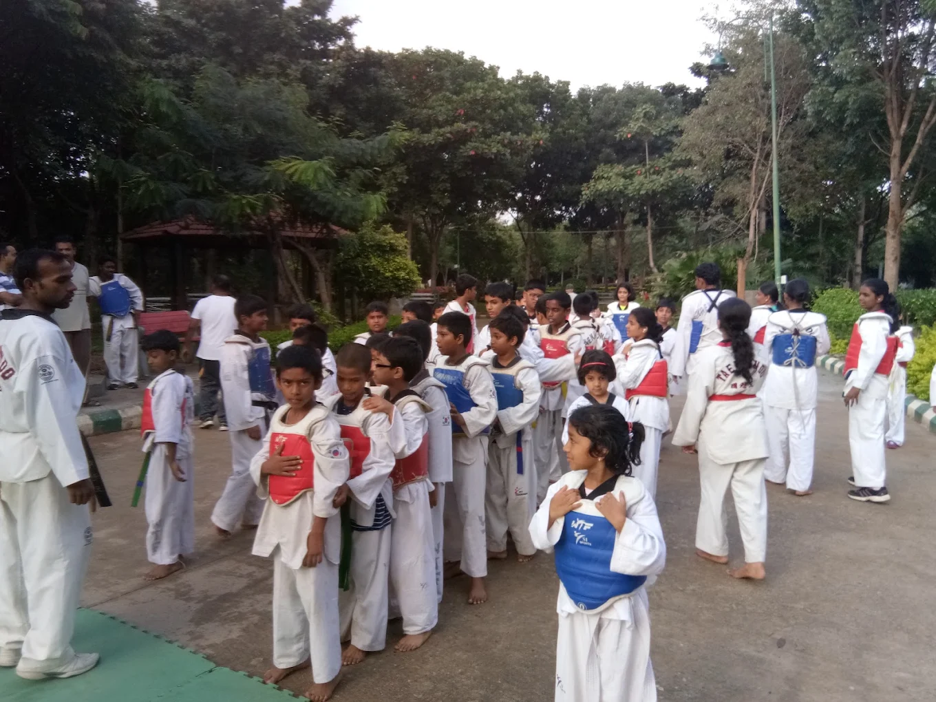 Korean Martial Arts Training for Strength and Discipline