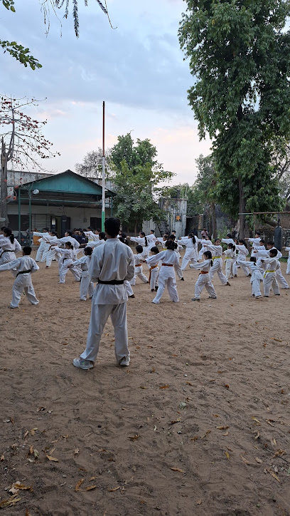 Iron Will - Martial Arts Academy