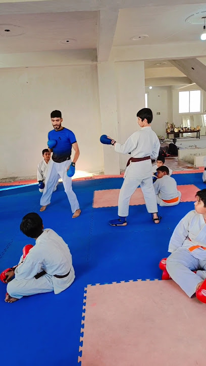 The Vipers Karate Academy (Office) Sensei Dinesh Choudhary