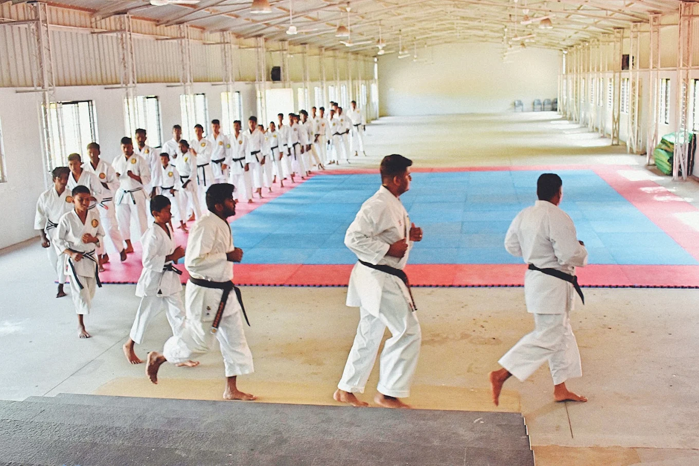 Martial Arts Training for Discipline and Combat Fitness