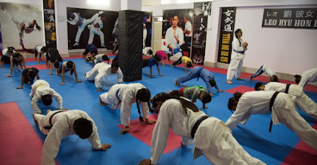 Leo Martial Arts Academy