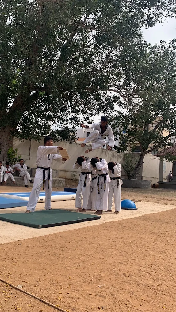 Taekwondo and Karate Training for Martial Arts Development