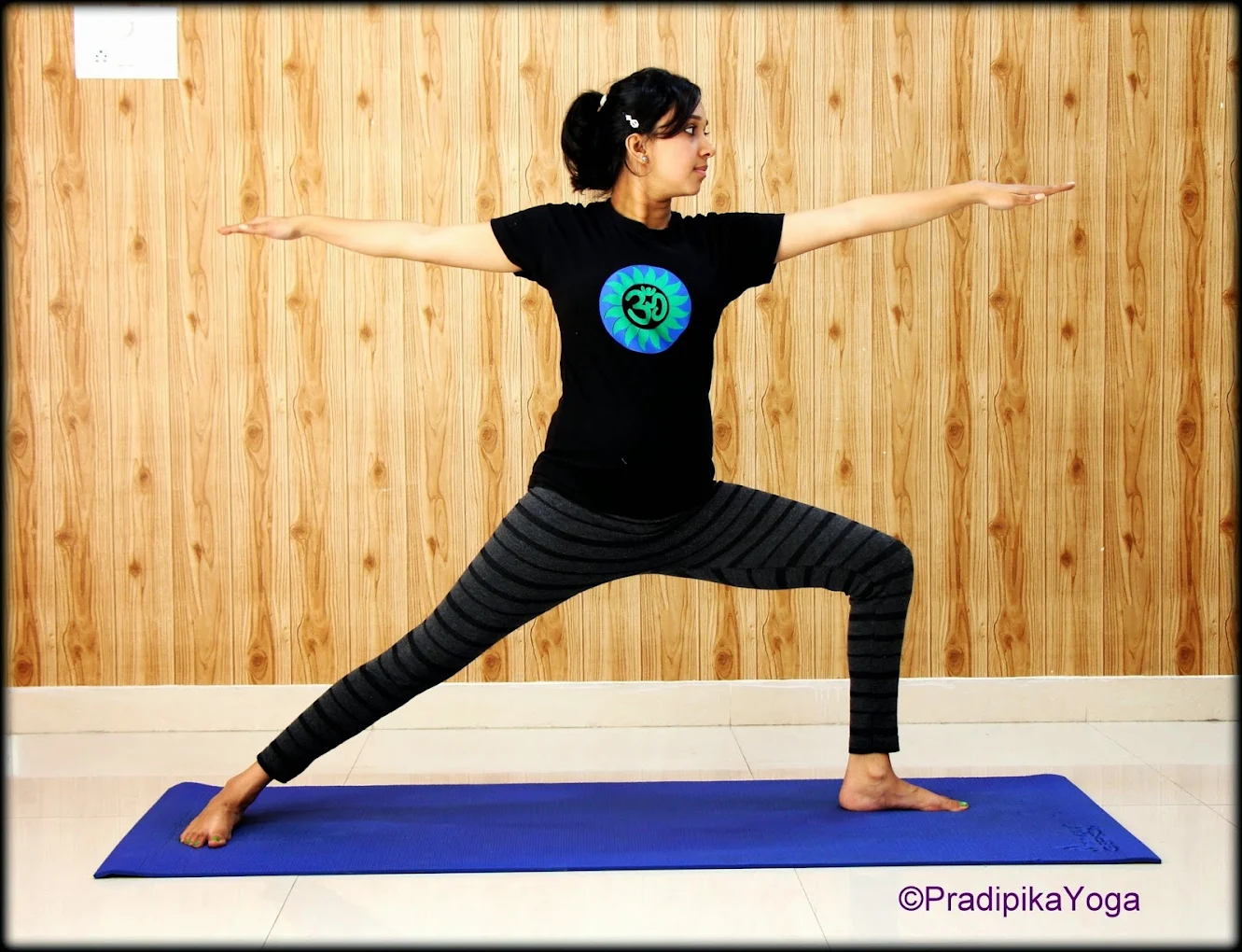 Pradipika Institute of Yoga  and Therapy