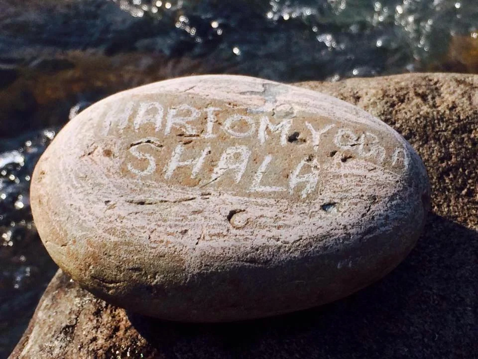 Hari om  Yogshala