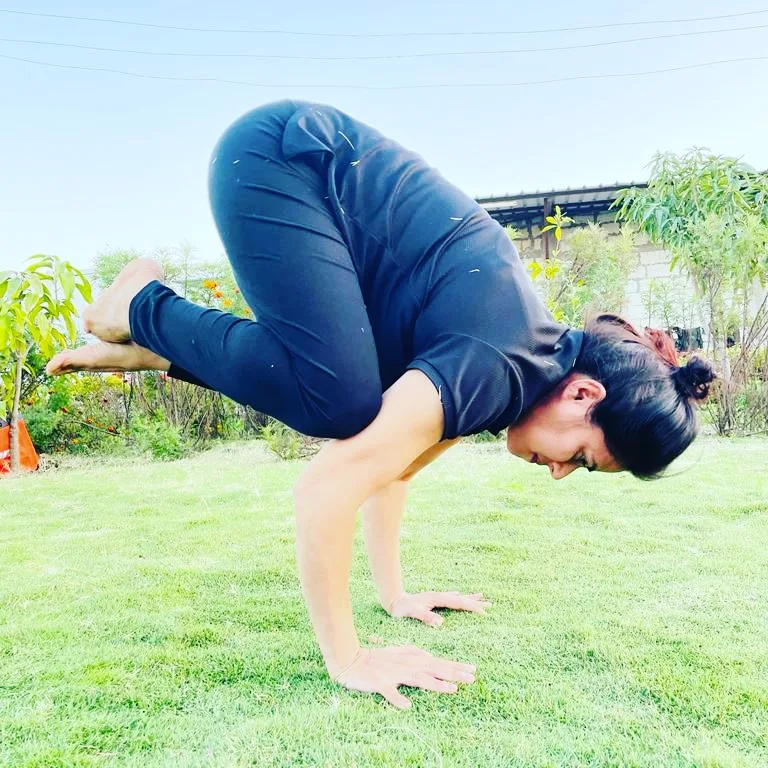 Indore School of  Yoga