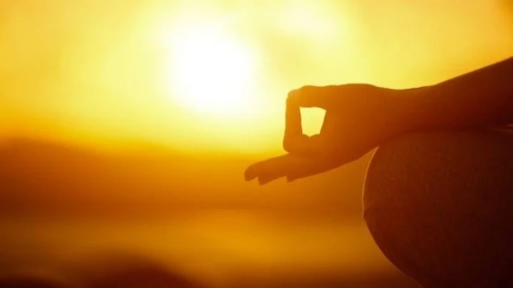 Om Yoga  Centre