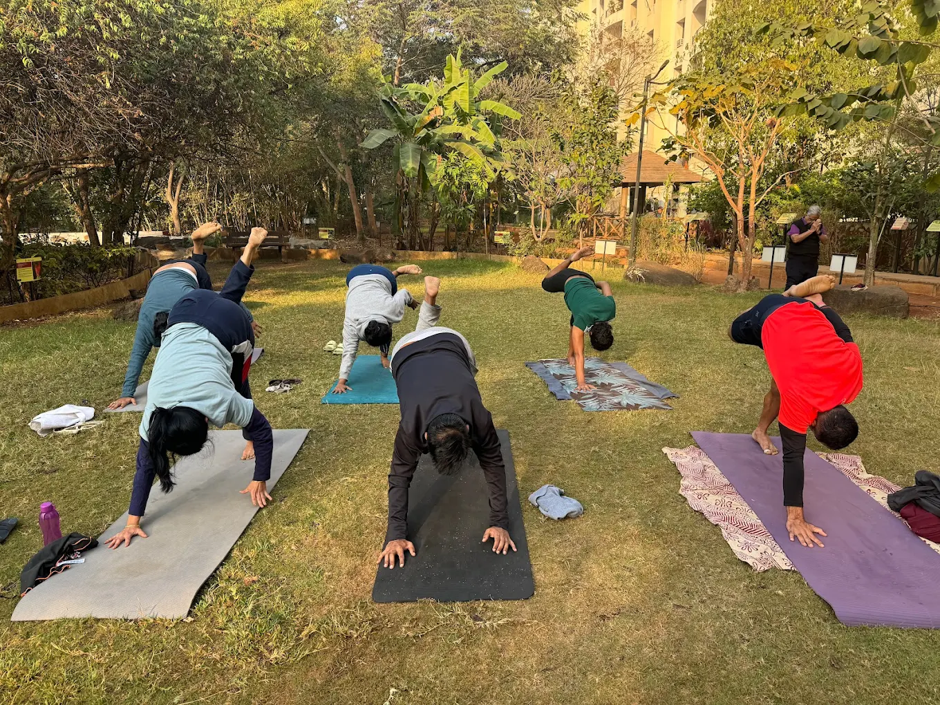 Postures Yoga  Art Studio