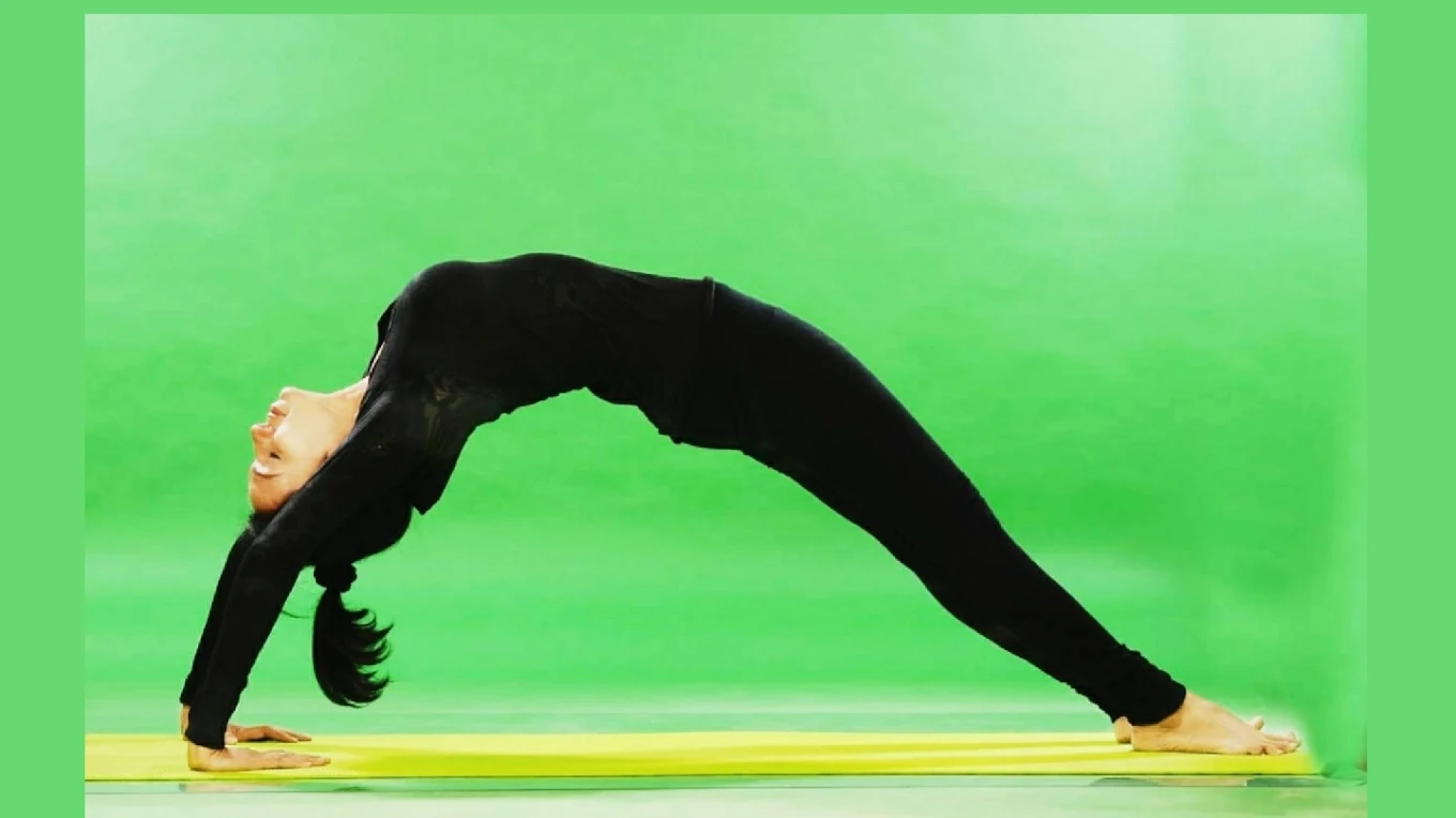 ShwetYoga Wellness  Institute