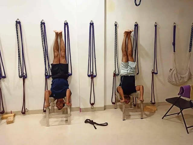 Om Vika Yoga & Fitness  Studio