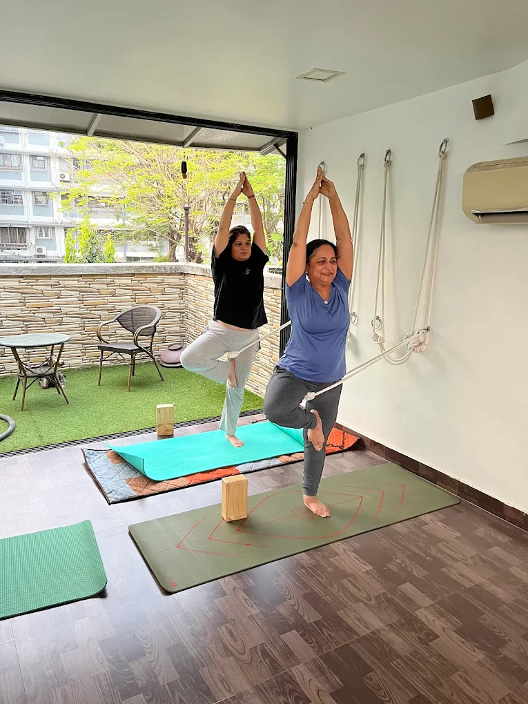 Wellness Yoga  Cafe