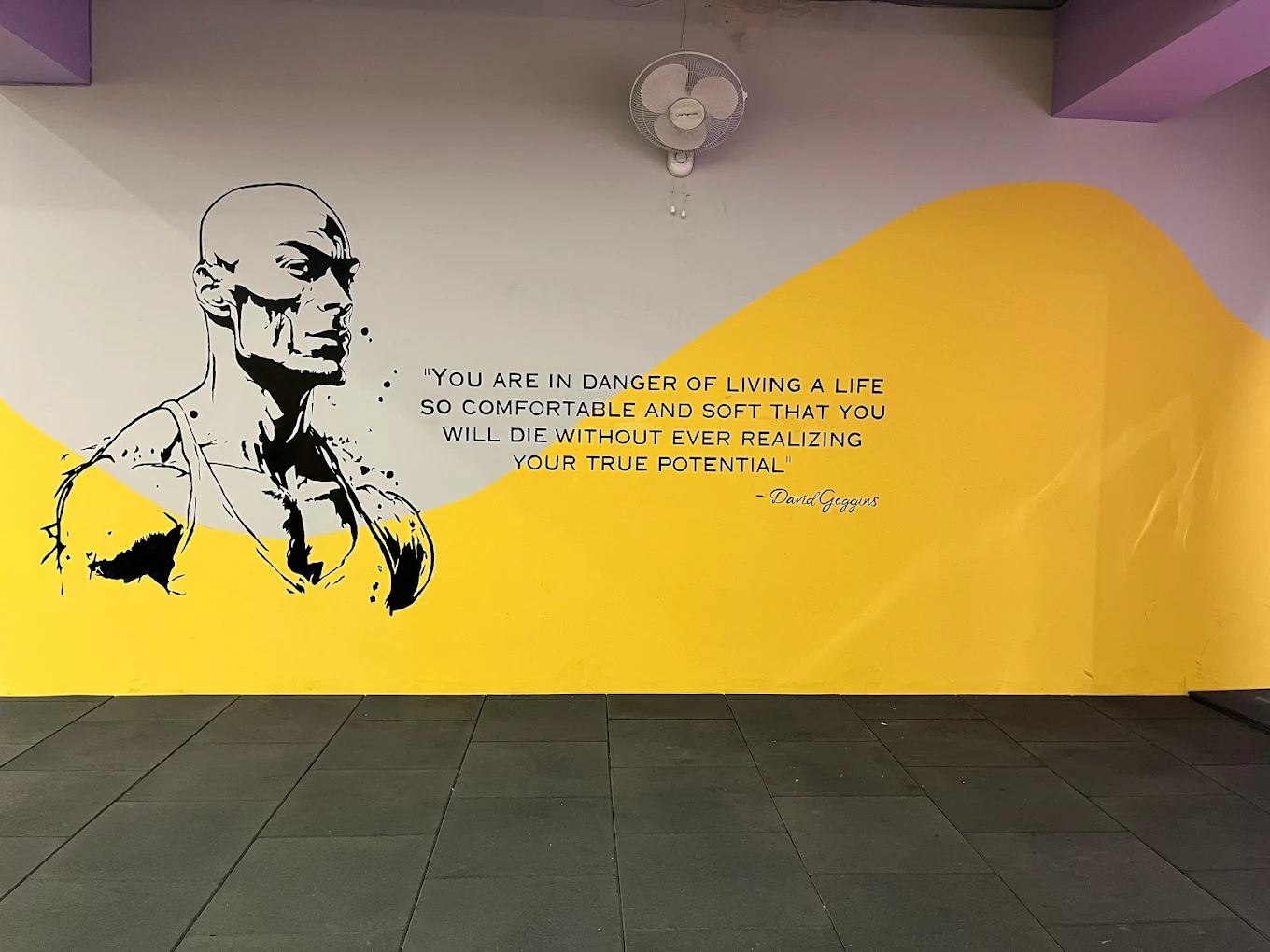 Fittverse  Gym