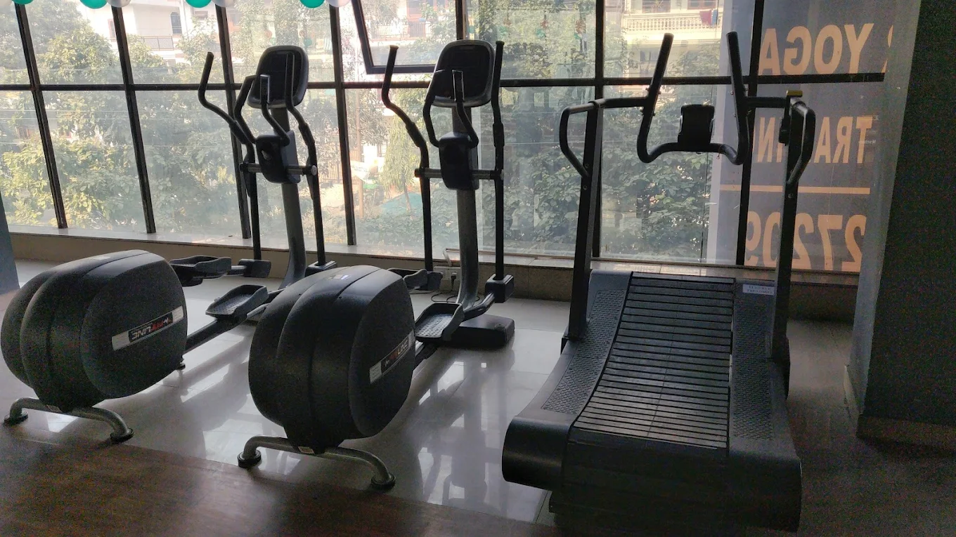 Aesthefit  Gym