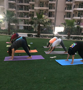 Blissful  Yoga