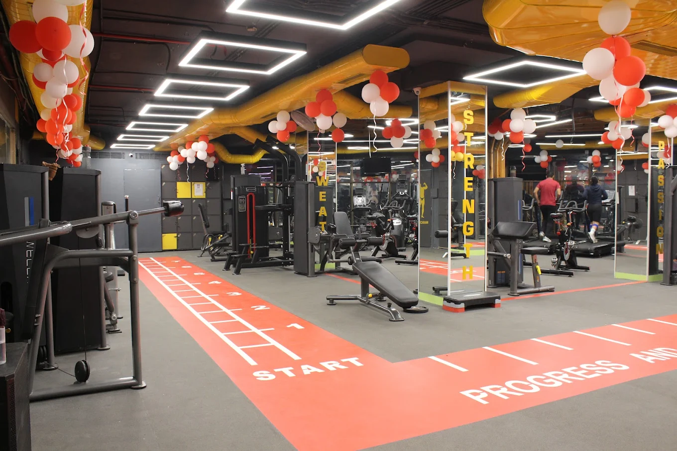 Fitbee  Fitness