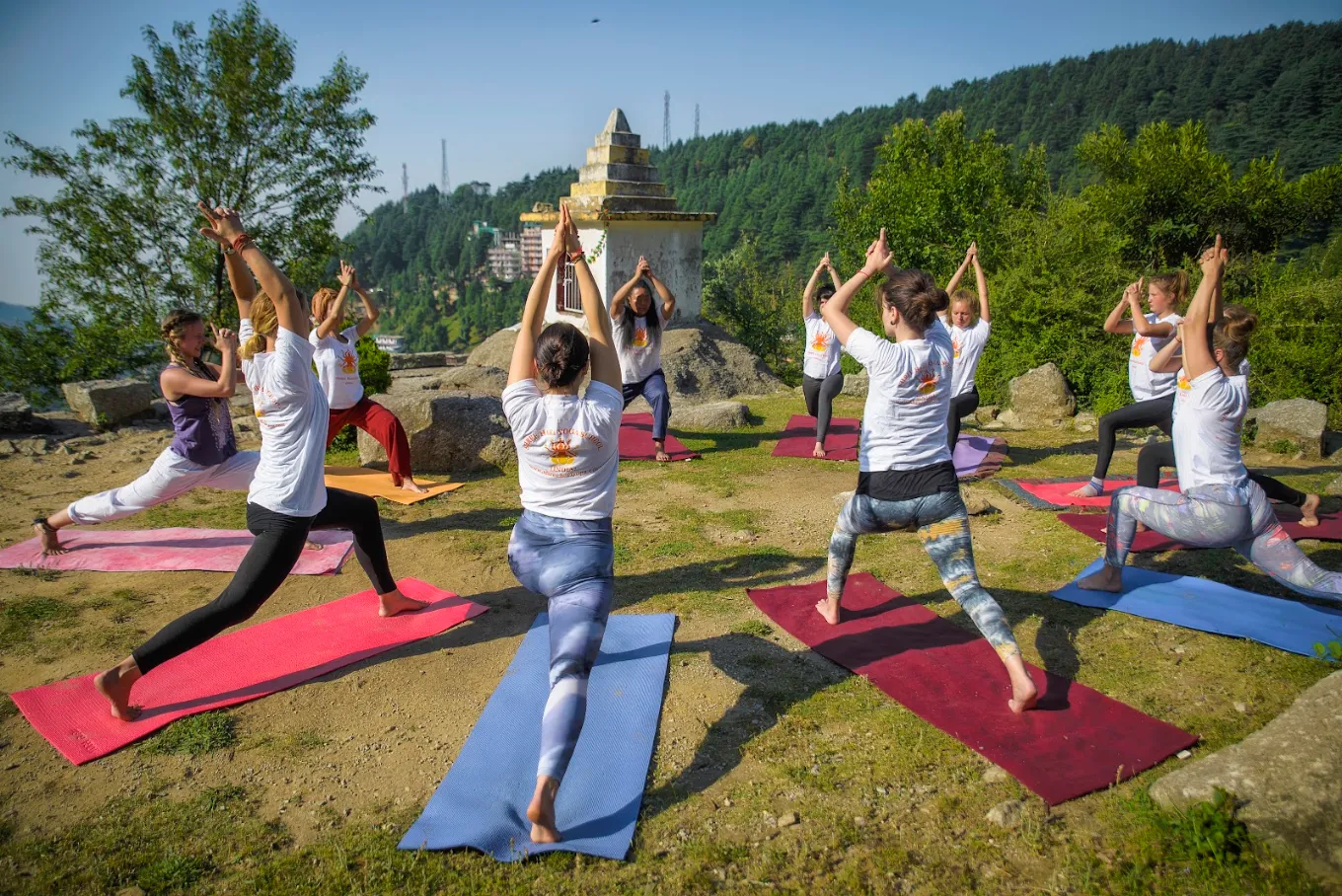Shree Hari Yoga  School 