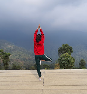 The Next  Asana