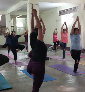 The Sunshine  Yoga