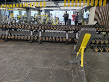 Father of  Fitness