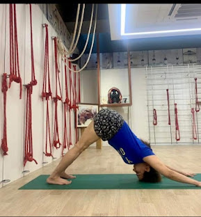 Yoganusasanam  Yoga Studio 