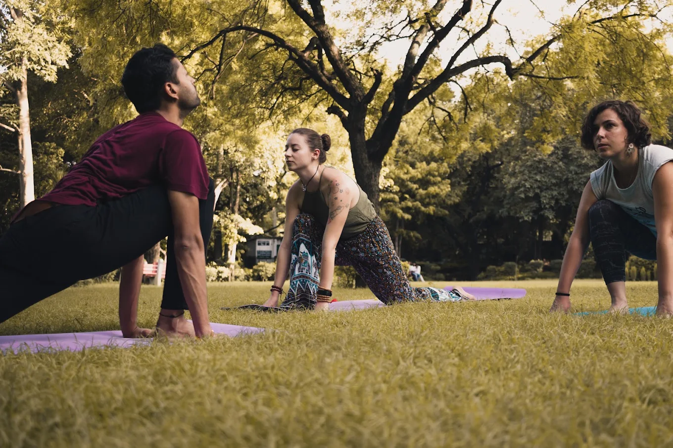 Pranamaya School Of  Yoga
