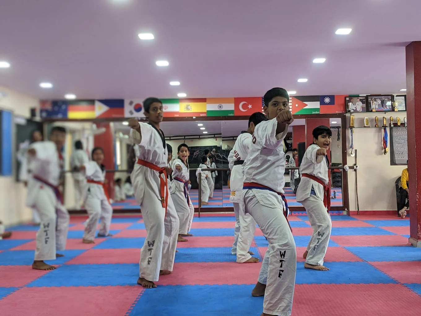 Shine Taekwondo & Mixed Martial Arts  Academy