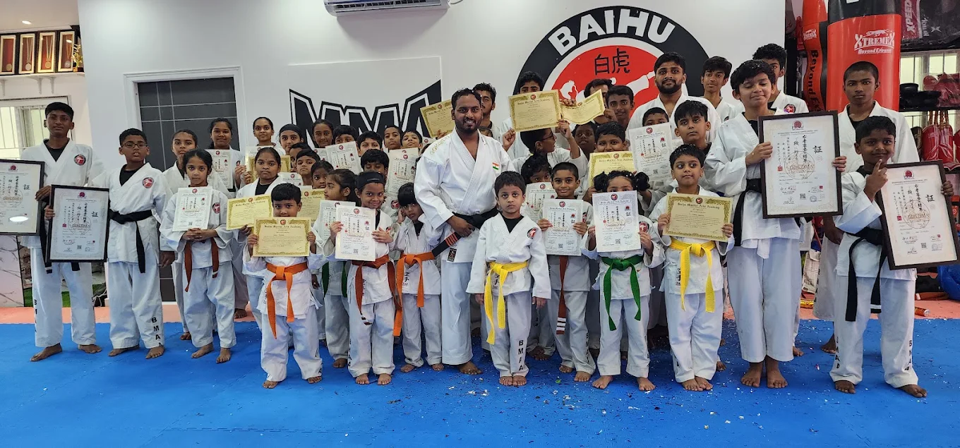 BAIHU MARTIAL ARTS  ACADEMY